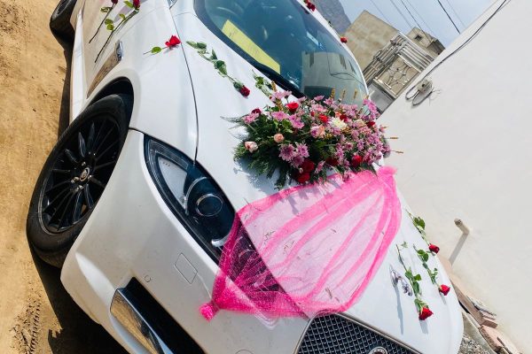 WhatsApp Image 2025-09-14 at 12.31.01 (1)